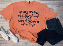 Load image into Gallery viewer, Surviving Motherhood