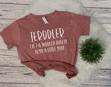 Load image into Gallery viewer, terddler