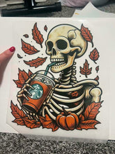 Load image into Gallery viewer, Falls Skelly
