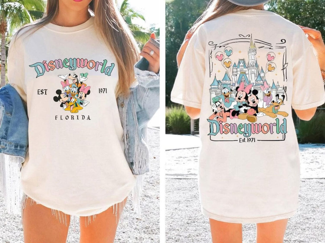Disney world